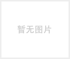 深圳鸿鑫泰大巴倒车专用摄像头，红外夜视高清广角CCD车载后视摄像头